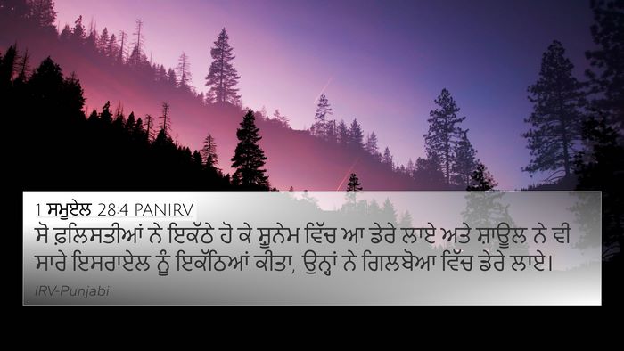 1 ਸਮੂਏਲ 28:4 PANIRV 4K Wallpaper - ਸੋ ਫ਼ਲਿਸਤੀਆਂ ਨੇ - 4K Wallpaper Bible Verse
