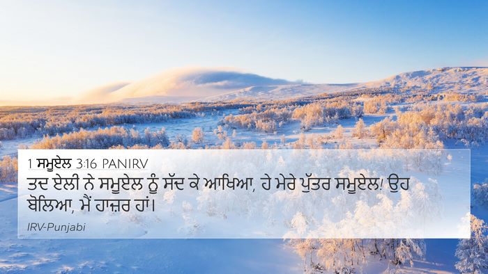 1 ਸਮੂਏਲ 3:16 PANIRV Bible Verse Image