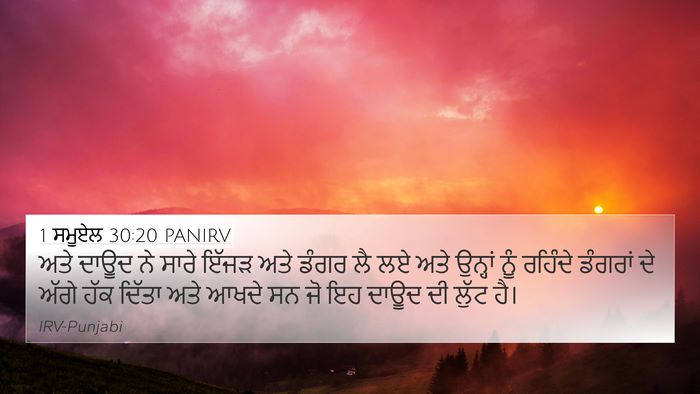 1 ਸਮੂਏਲ 30:20 PANIRV 4K Wallpaper - ਅਤੇ ਦਾਊਦ ਨੇ ਸਾਰੇ - 4K Wallpaper Bible Verse