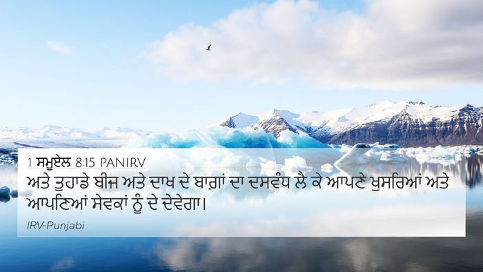 1 ਸਮੂਏਲ 8:15 PANIRV 4K Wallpaper - ਅਤੇ ਤੁਹਾਡੇ ਬੀਜ ਅਤੇ - 4K Wallpaper Bible Verse