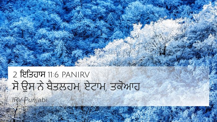 2 ਇਤਿਹਾਸ 11:6 PANIRV Bible Verse Image