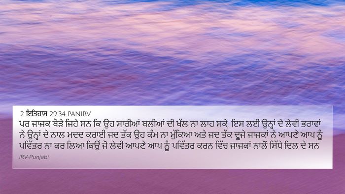 2 ਇਤਿਹਾਸ 29:34 PANIRV Bible Verse Image
