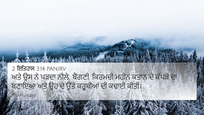 2 ਇਤਿਹਾਸ 3:14 PANIRV Bible Verse Image