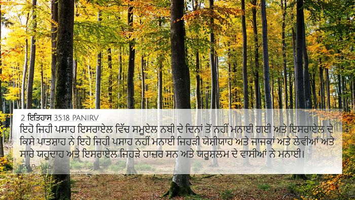 2 ਇਤਿਹਾਸ 35:18 PANIRV Bible Verse Image