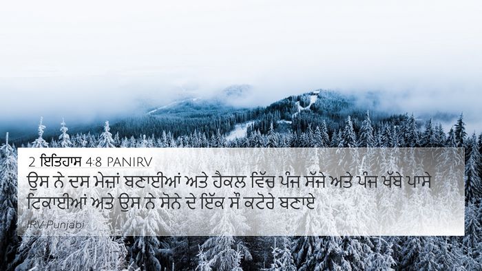 2 ਇਤਿਹਾਸ 4:8 PANIRV Bible Verse Image