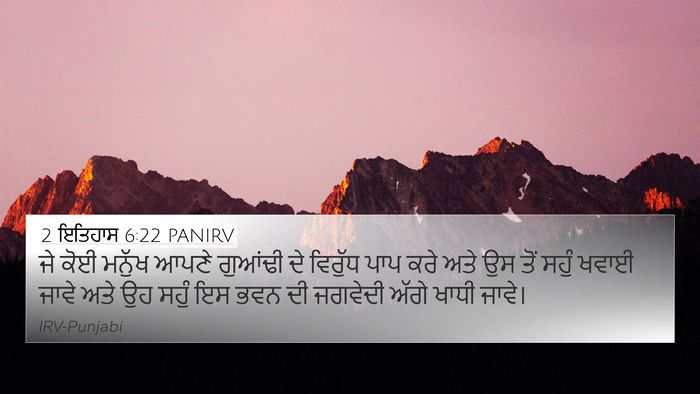 2 ਇਤਿਹਾਸ 6:22 PANIRV Bible Verse Image