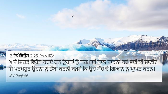 2 ਤਿਮੋਥਿਉਸ 2:25 PANIRV Bible Verse Image