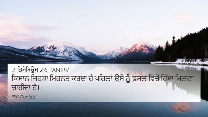 2 ਤਿਮੋਥਿਉਸ 2:6 PANIRV Bible Verse Image