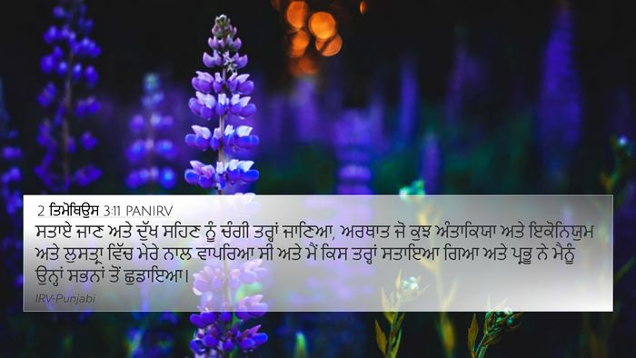 2 ਤਿਮੋਥਿਉਸ 3:11 PANIRV Bible Verse Image