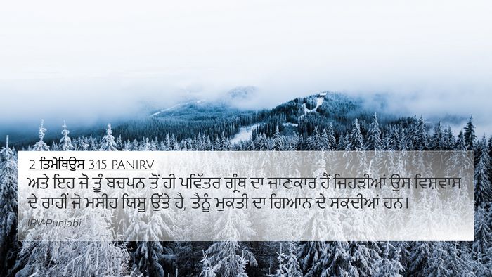 2 ਤਿਮੋਥਿਉਸ 3:15 PANIRV Bible Verse Image