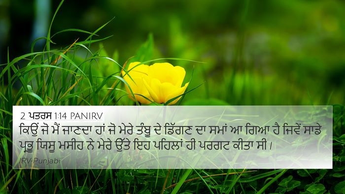 2 ਪਤਰਸ 1:14 PANIRV Bible Verse Image