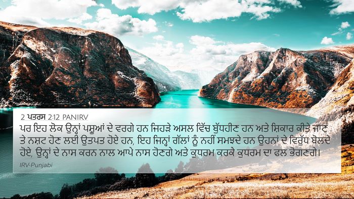 2 ਪਤਰਸ 2:12 PANIRV Bible Verse Image