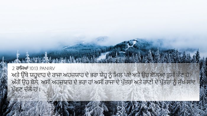 2 ਰਾਜਿਆਂ 10:13 PANIRV Bible Verse Image
