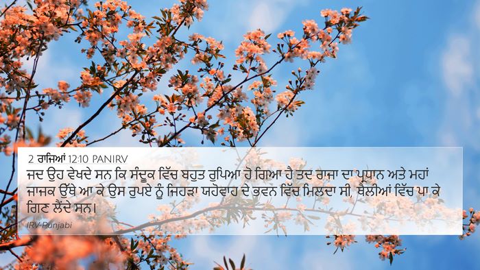2 ਰਾਜਿਆਂ 12:10 PANIRV 4K Wallpaper - ਜਦ ਉਹ ਵੇਖਦੇ ਸਨ ਕਿ - 4K Wallpaper Bible Verse