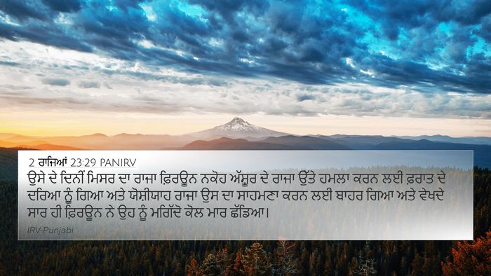 2 ਰਾਜਿਆਂ 23:29 PANIRV Bible Verse Image