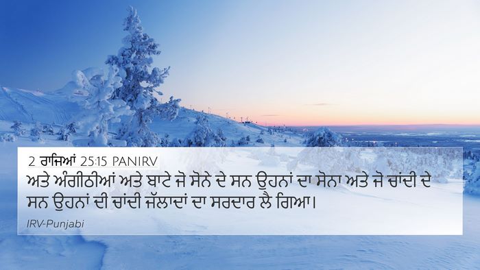 2 ਰਾਜਿਆਂ 25:15 PANIRV Bible Verse Image