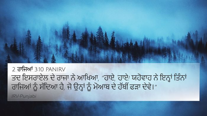 2 ਰਾਜਿਆਂ 3:10 PANIRV Bible Verse Image