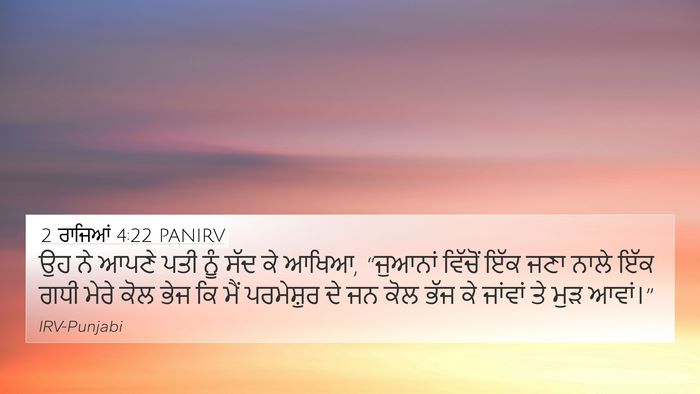 2 ਰਾਜਿਆਂ 4:22 PANIRV Bible Verse Image