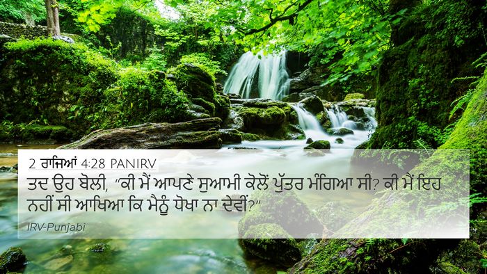 2 ਰਾਜਿਆਂ 4:28 PANIRV Bible Verse Image