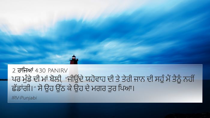 2 ਰਾਜਿਆਂ 4:30 PANIRV Bible Verse Image