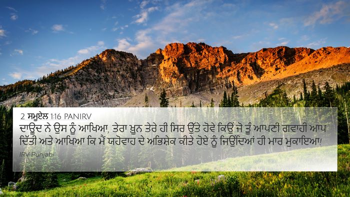 2 ਸਮੂਏਲ 1:16 PANIRV Bible Verse Image