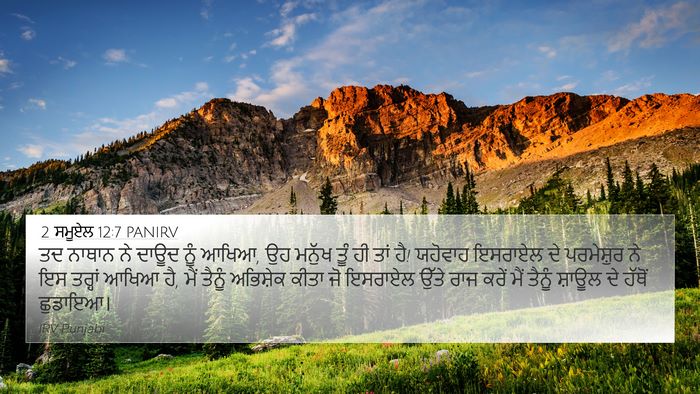 2 ਸਮੂਏਲ 12:7 PANIRV Bible Verse Image