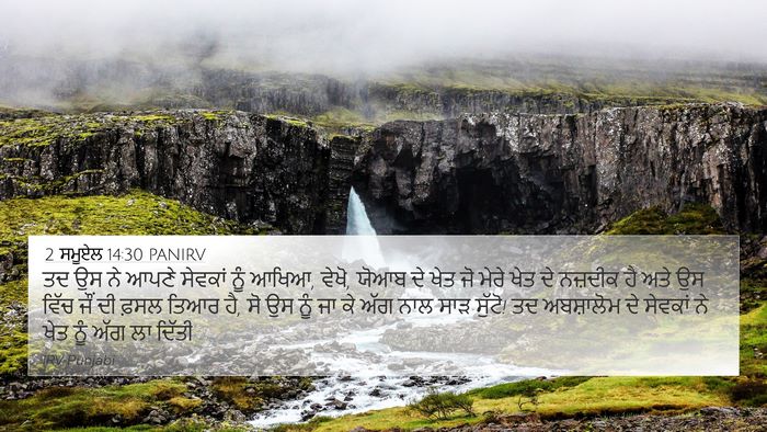 2 ਸਮੂਏਲ 14:30 PANIRV Bible Verse Image