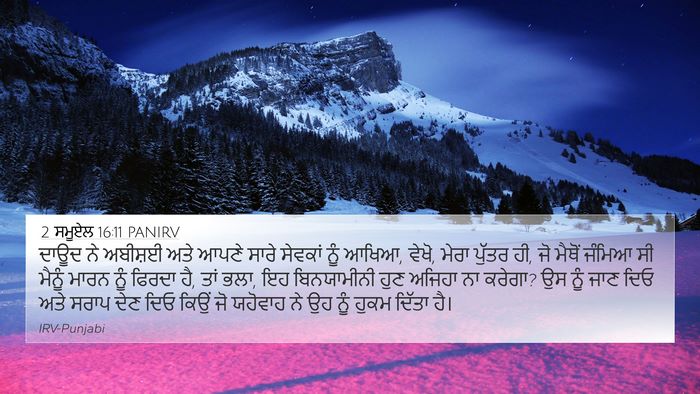 2 ਸਮੂਏਲ 16:11 PANIRV Bible Verse Image
