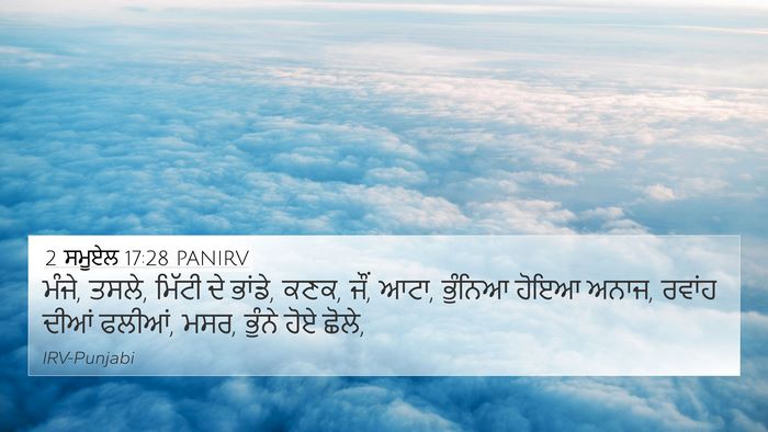 2 ਸਮੂਏਲ 17:28 PANIRV Bible Verse Image