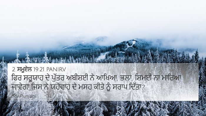 2 ਸਮੂਏਲ 19:21 PANIRV Bible Verse Image