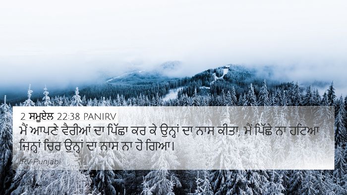 2 ਸਮੂਏਲ 22:38 PANIRV 4K Wallpaper - ਮੈਂ ਆਪਣੇ ਵੈਰੀਆਂ ਦਾ - 4K Wallpaper Bible Verse