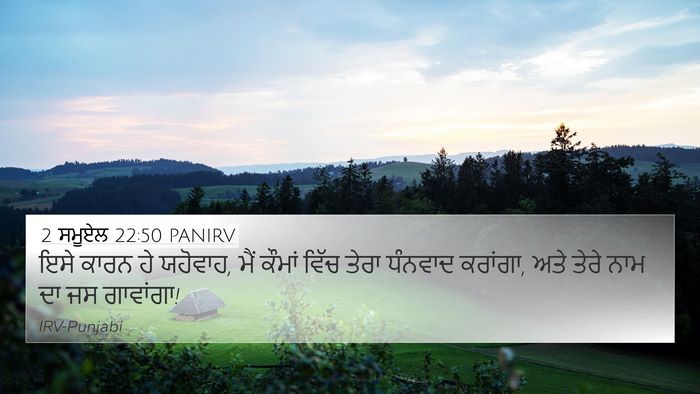 2 ਸਮੂਏਲ 22:50 PANIRV 4K Wallpaper - ਇਸੇ ਕਾਰਨ ਹੇ ਯਹੋਵਾਹ, - 4K Wallpaper Bible Verse