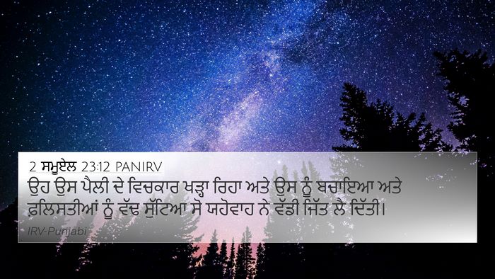 2 ਸਮੂਏਲ 23:12 PANIRV 4K Wallpaper - ਉਹ ਉਸ ਪੈਲੀ ਦੇ - 4K Wallpaper Bible Verse