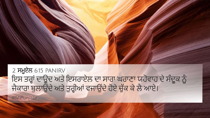 2 ਸਮੂਏਲ 6:15 PANIRV Bible Verse Image