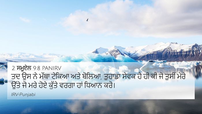 2 ਸਮੂਏਲ 9:8 PANIRV Bible Verse Image