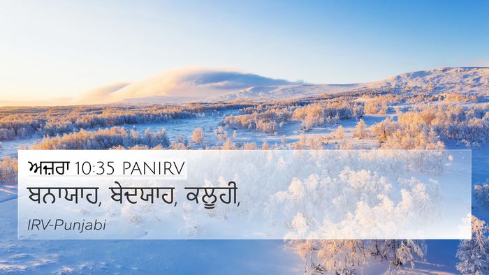 ਅਜ਼ਰਾ 10:35 PANIRV 4K Wallpaper - ਬਨਾਯਾਹ, ਬੇਦਯਾਹ, - 4K Wallpaper Bible Verse
