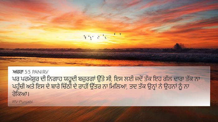 ਅਜ਼ਰਾ 5:5 PANIRV Bible Verse Image