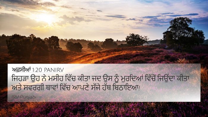 ਅਫ਼ਸੀਆਂ 1:20 PANIRV Bible Verse Image
