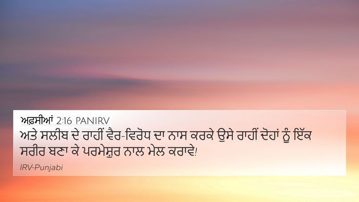 ਅਫ਼ਸੀਆਂ 2:16 PANIRV Bible Verse Image