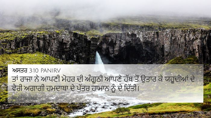 ਅਸਤਰ 3:10 PANIRV Bible Verse Image