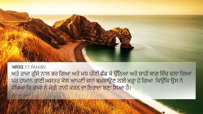ਅਸਤਰ 7:7 PANIRV Bible Verse Image