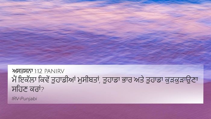 ਅਸਤਸਨਾ 1:12 PANIRV Bible Verse Image