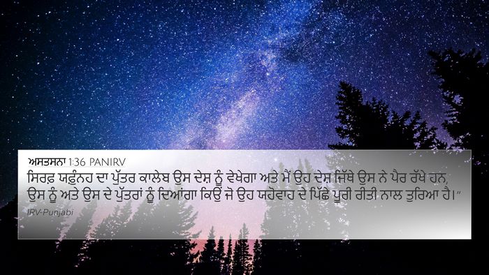 ਅਸਤਸਨਾ 1:36 PANIRV Bible Verse Image