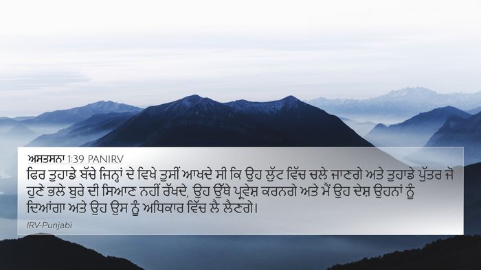 ਅਸਤਸਨਾ 1:39 PANIRV Bible Verse Image