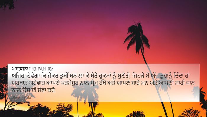 ਅਸਤਸਨਾ 11:13 PANIRV Bible Verse Image