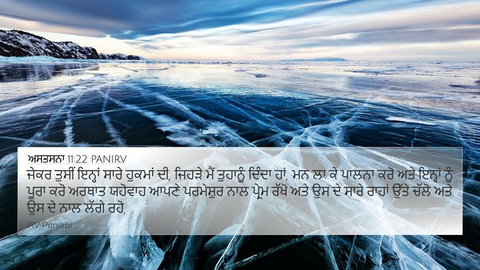 ਅਸਤਸਨਾ 11:22 PANIRV Bible Verse Image