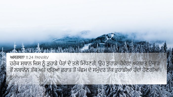 ਅਸਤਸਨਾ 11:24 PANIRV Bible Verse Image