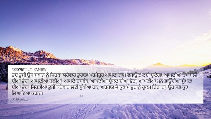 ਅਸਤਸਨਾ 12:11 PANIRV Bible Verse Image