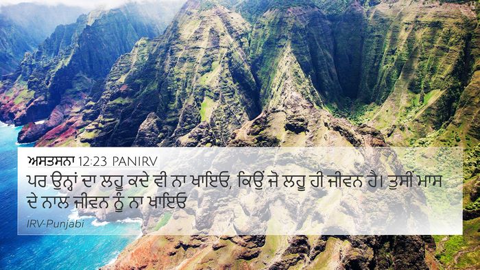 ਅਸਤਸਨਾ 12:23 PANIRV 4K Wallpaper - ਪਰ ਉਨ੍ਹਾਂ ਦਾ ਲਹੂ - 4K Wallpaper Bible Verse