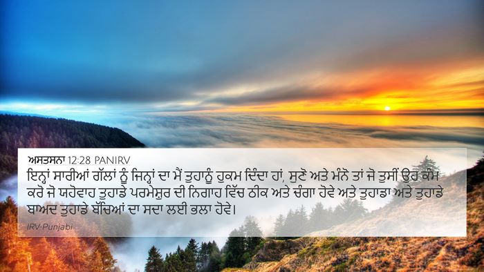 ਅਸਤਸਨਾ 12:28 PANIRV Bible Verse Image